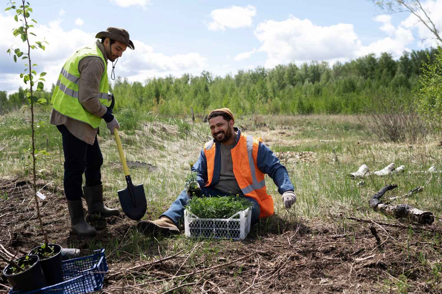 Best Tree Clearing Services  in York, AL